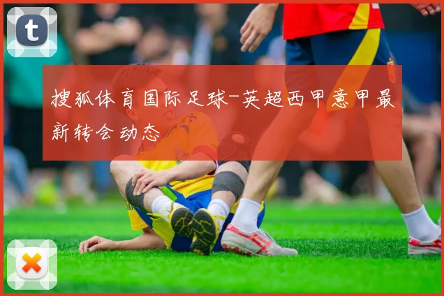 搜狐体育国际足球-英超西甲意甲最新转会动态